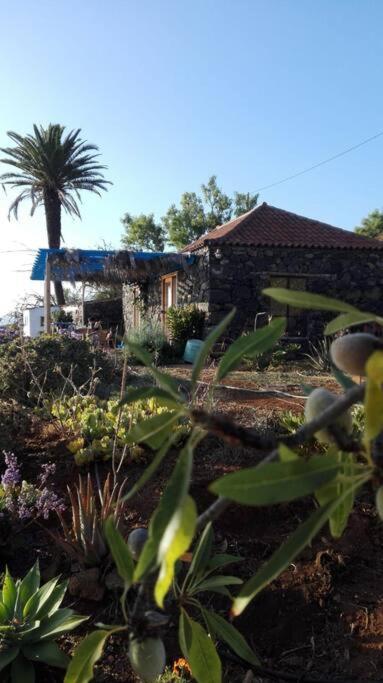 Villa Casita En El Campo Con Vista Al Oceano Tijarafe Esterno foto